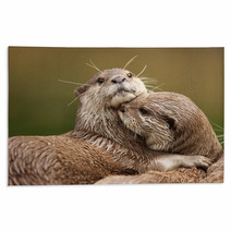 Oriental Short-Clawed Otters Cuddling Rugs 34028372
