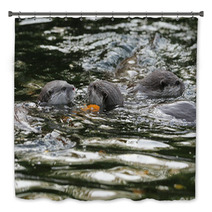Oriental Short-Clawed Otters Swimming In A River Bath Decor 94863352