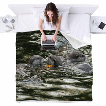 Oriental Short-Clawed Otters Swimming In A River Blankets 94863352