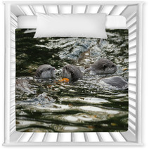 Oriental Short-Clawed Otters Swimming In A River Nursery Decor 94863352