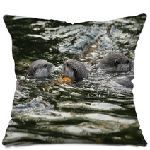 Oriental Short-Clawed Otters Swimming In A River Pillows 94863352