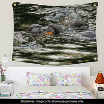 Oriental Short-Clawed Otters Swimming In A River Wall Art 94863352