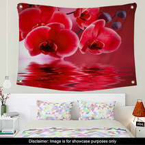Orquídeas Rojas Con Fondo Y Agua Wall Art 56946263