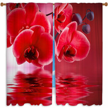 Orquídeas Rojas Con Fondo Y Agua Window Curtains 56946263