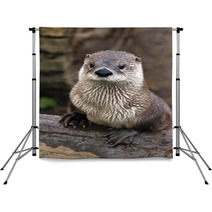 Otter Backdrops 59896629