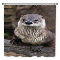Otter Bath Decor 59896629