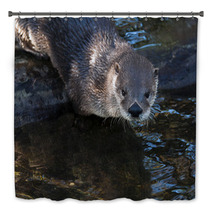 Otter Bath Decor 62531276
