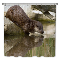 Otter Bath Decor 64640072
