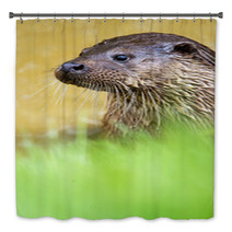Otter Bath Decor 65293748