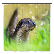 Otter Bath Decor 65293860