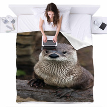 Otter Blankets 59896629