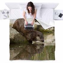 Otter Blankets 64640072