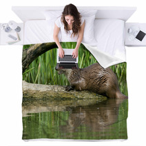 Otter Blankets 64640987