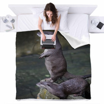 Otter  Blankets 92516460