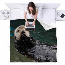Otter Greeting Blankets 19483638