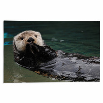 Otter Greeting Rugs 19483638