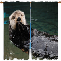 Otter Greeting Window Curtains 19483638