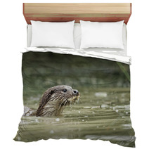 Otter, Lutra Lutra Bedding 54002737