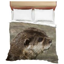 Otter( Lutra Lutra) Bedding 65361900