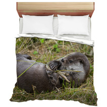 Otter - Lutra Lutra In Nature Bedding 86289830
