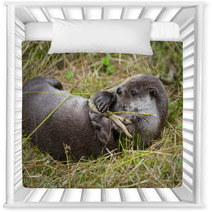 Otter - Lutra Lutra In Nature Nursery Decor 86289830