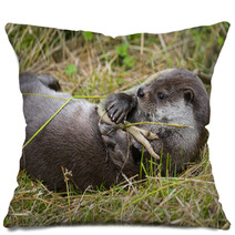 Otter - Lutra Lutra In Nature Pillows 86289830