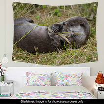 Otter - Lutra Lutra In Nature Wall Art 86289830