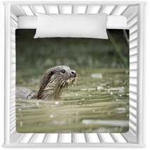 Otter, Lutra Lutra Nursery Decor 54002737