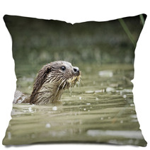 Otter, Lutra Lutra Pillows 54002737