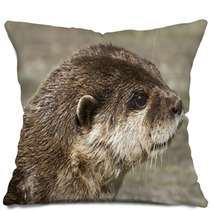Otter( Lutra Lutra) Pillows 65361900