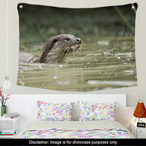 Otter, Lutra Lutra Wall Art 54002737