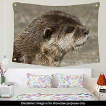 Otter( Lutra Lutra) Wall Art 65361900