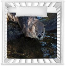 Otter Nursery Decor 62531276