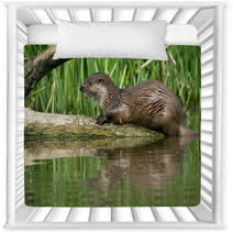 Otter Nursery Decor 64640987