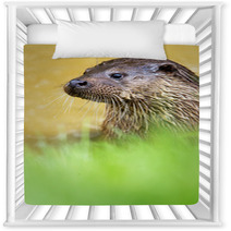 Otter Nursery Decor 65293748