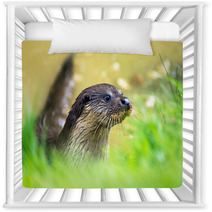 Otter Nursery Decor 65293860