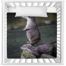 Otter  Nursery Decor 92516460