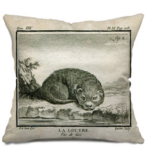 Otter Pillows 59546976