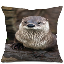 Otter Pillows 59896629