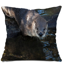 Otter Pillows 62531276