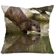 Otter Pillows 64640072