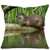 Otter Pillows 64640987