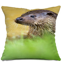 Otter Pillows 65293748