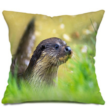 Otter Pillows 65293860