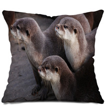 Otter Pillows 90144213