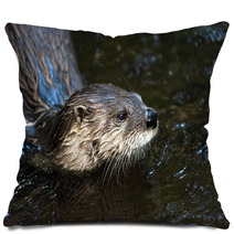 Otter Pillows 91770798