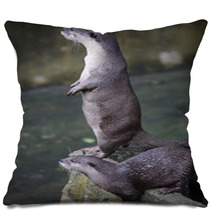 Otter  Pillows 92516460