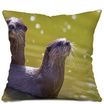 Otter Pillows 96546469
