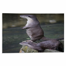 Otter  Rugs 92516460
