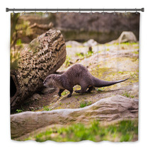  Otter Standing On A Rock With Prey In The Teeth Bath Decor 100527887